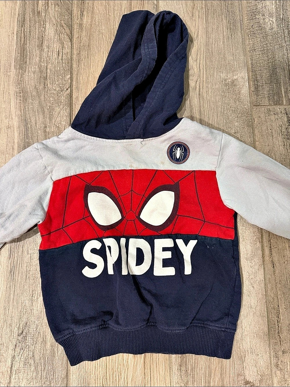 Marvel Spidey and His Amazing Friends Spider-Man Pullover Hoodie Blue & Red